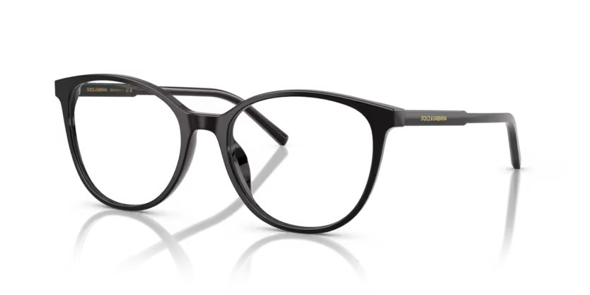 DOLCE & GABBANA 3425