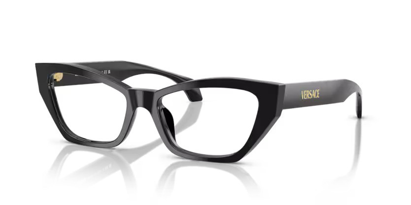 VERSACE 3373U