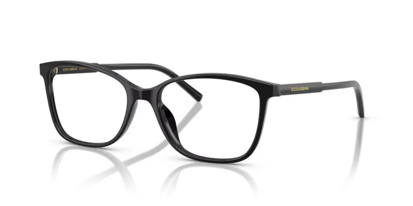 DOLCE & GABBANA 3424