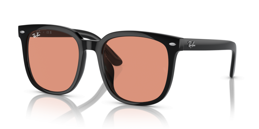 Ray-Ban 4401D
