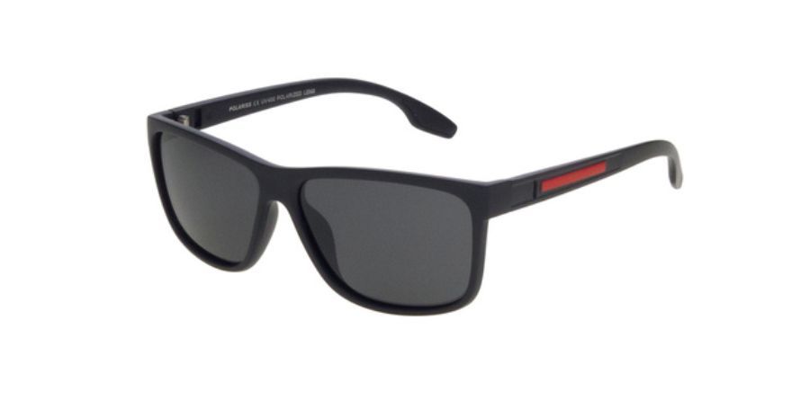 POLARISS 1101
