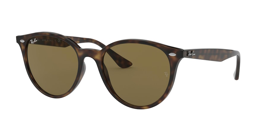 Ray-Ban 4305