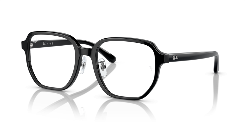 Ray-Ban 5424D