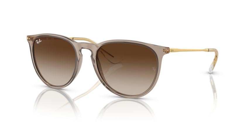 Ray-Ban 4171 Erika