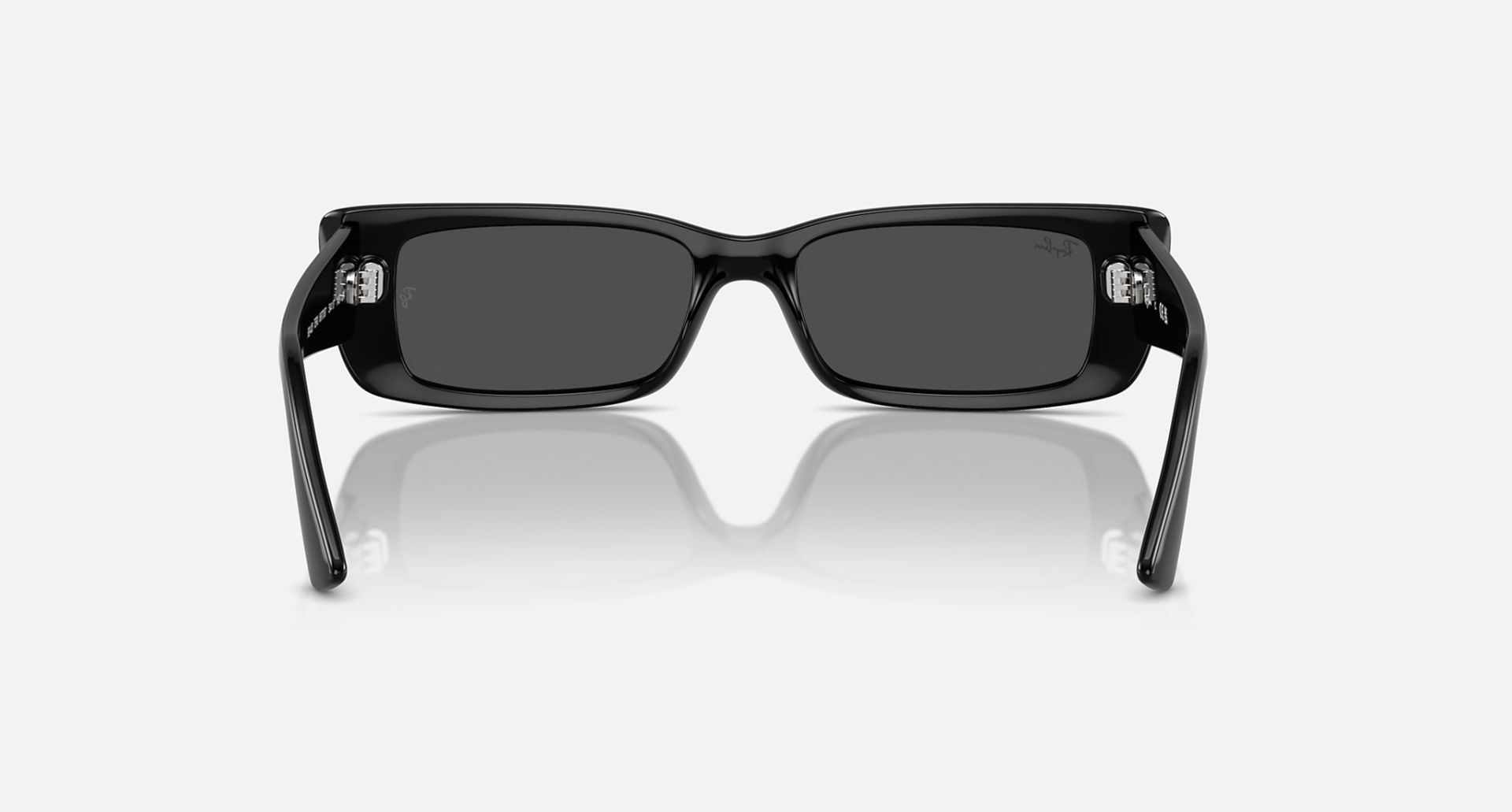 Ray-Ban 4425 TERU BIO-BASED PULSE