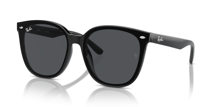 Ray-Ban 4423D