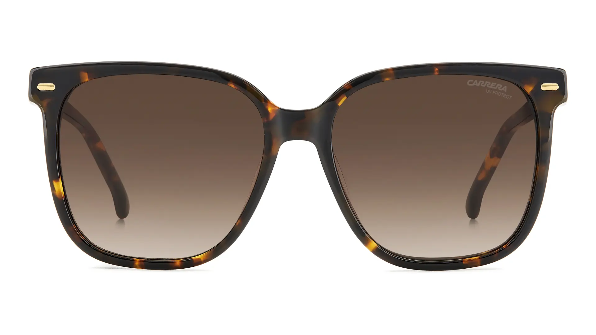 CARRERA 3002/S