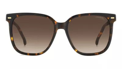 CARRERA 3002/S