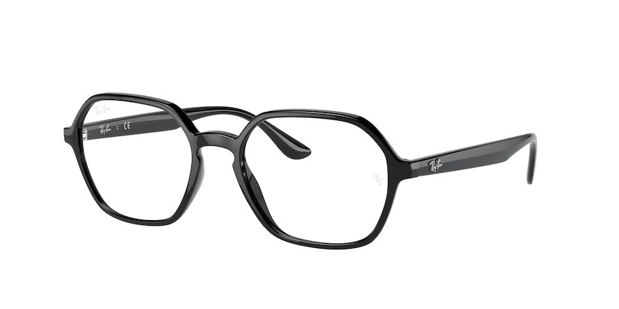 Ray-Ban 4361V