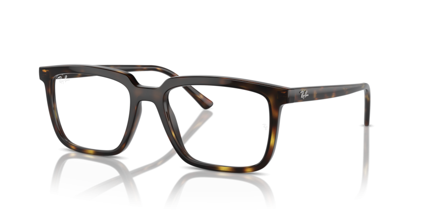 Ray-Ban 7239