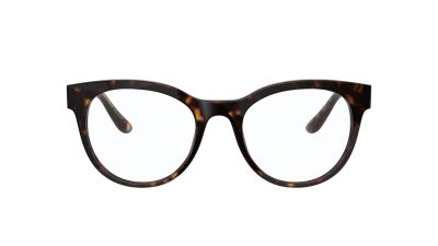 DOLCE & GABBANA 3334