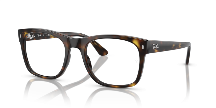 Ray-Ban 7228