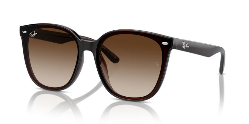 Ray-Ban 4423D