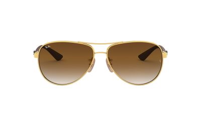 Ray-Ban 8313