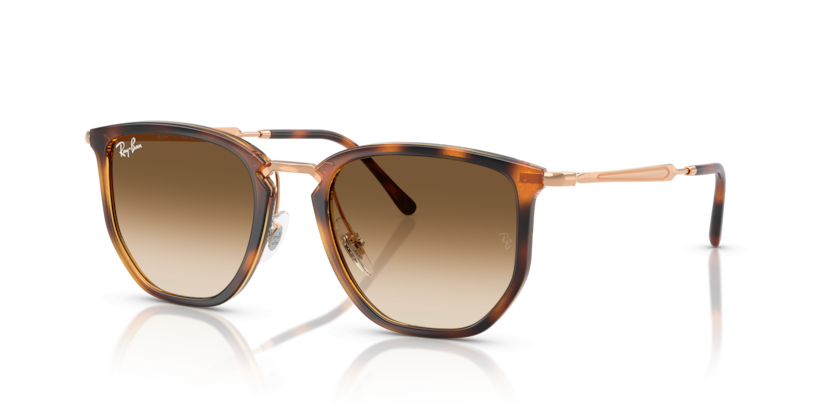 Ray-Ban 4451