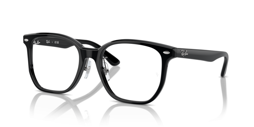 Ray-Ban 5425D