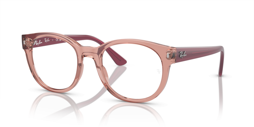 Ray-Ban 7227