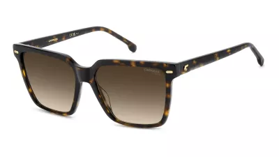 CARRERA 3069/S