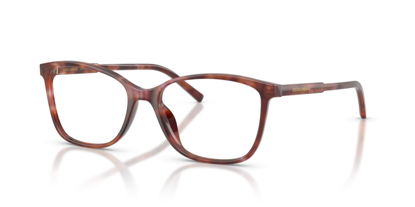DOLCE & GABBANA 3424