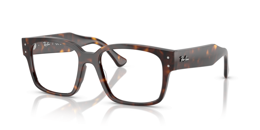 Ray-Ban 7256