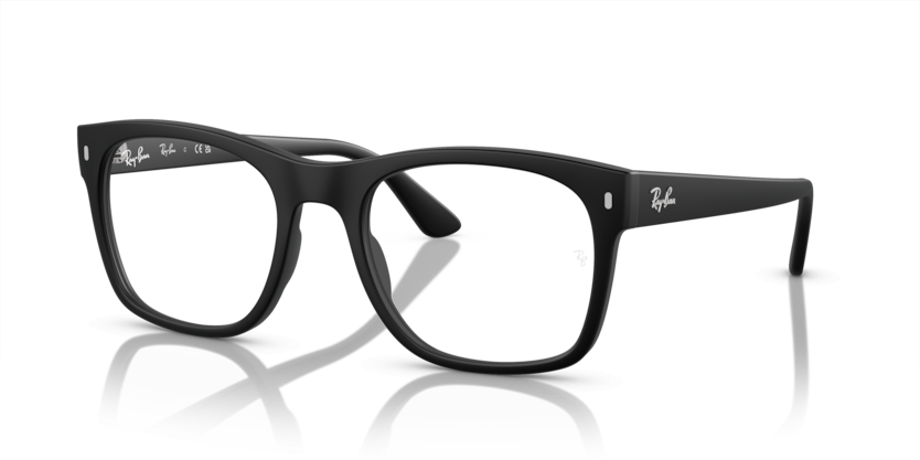 Ray-Ban 7228