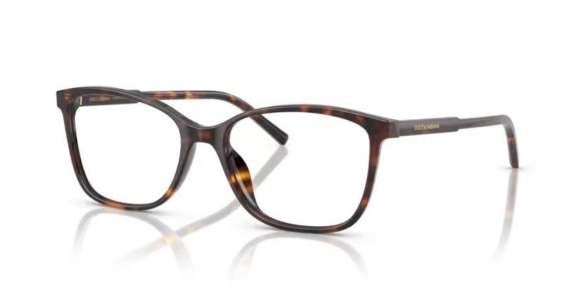 DOLCE & GABBANA 3424