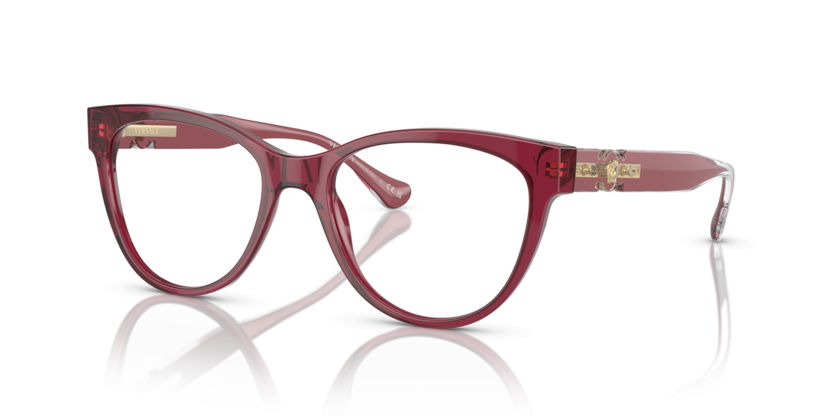 VERSACE 3304