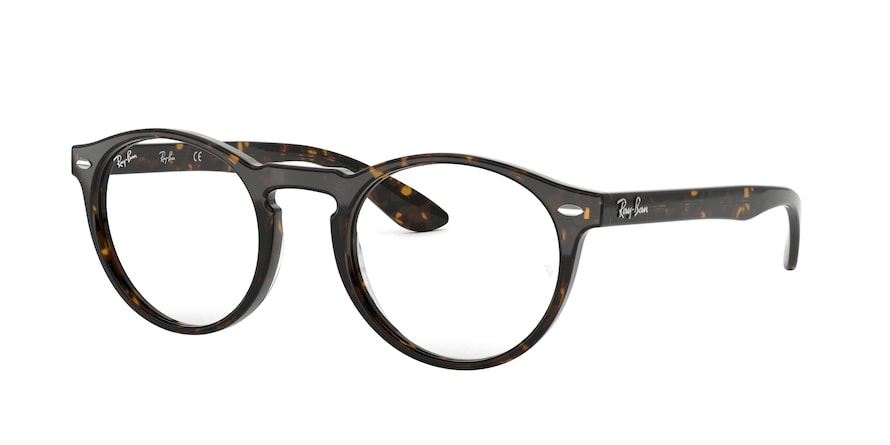 Ray-Ban 5283