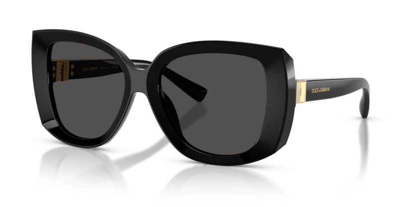 DOLCE & GABBANA 4495