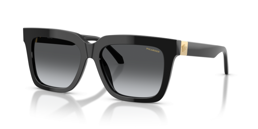 VERSACE 4498