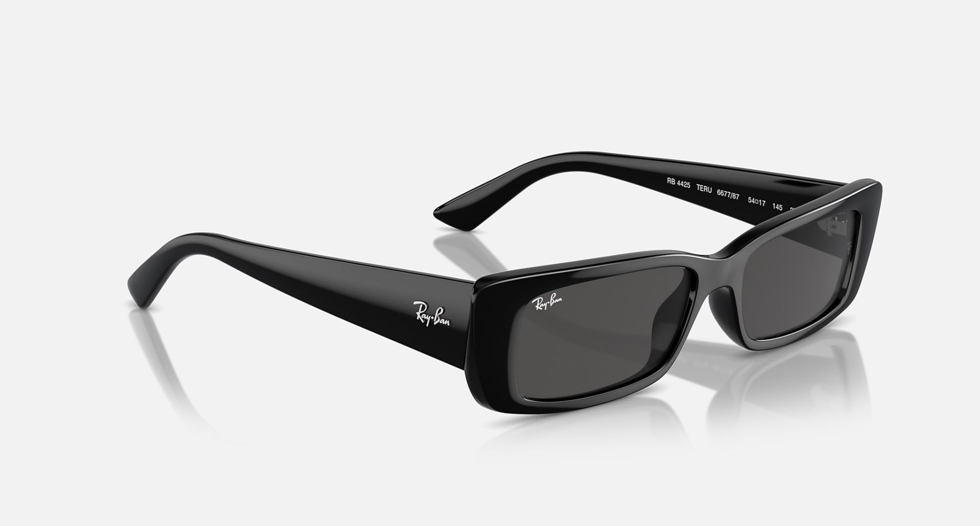 Ray-Ban 4425 TERU BIO-BASED PULSE