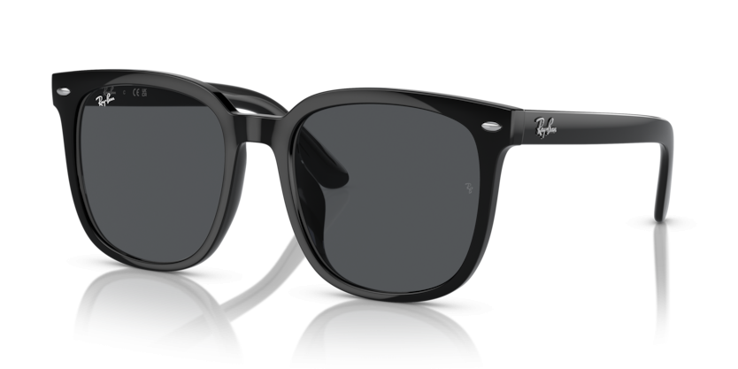 Ray-Ban 4401D