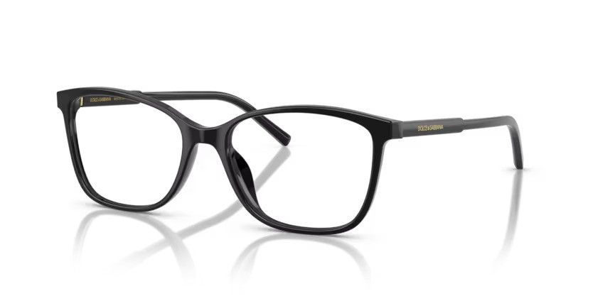 DOLCE & GABBANA 3424