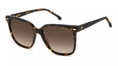 CARRERA 3002/S